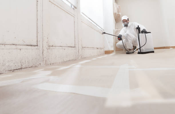 24/7 Emergency Basement Mold Remediation experts in Boyds, MD